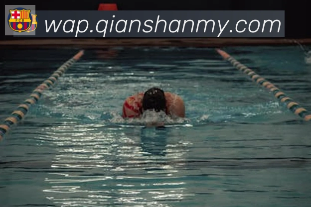 kaiyun官方网站登录入口发展历程