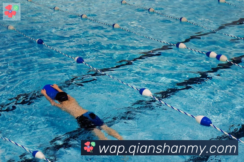 App Interface Preview