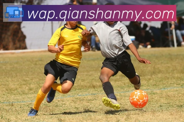 kaiyun官方网站登录入口荣誉