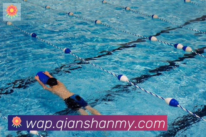 kaiyun官方网站登录入口荣誉