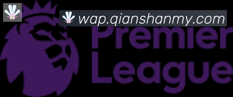 kaiyun官方网站登录入口合作伙伴